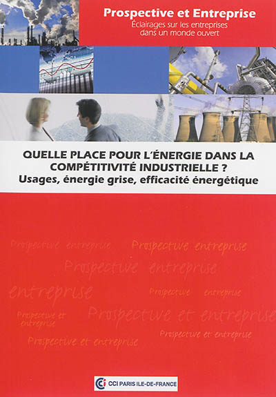 Quelle place pour l'énergie dans la compétitivité industrielle ? : usages, énergie grise, efficacité
