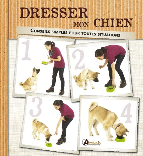 Dresser mon chien : conseils simples pour toutes les situations