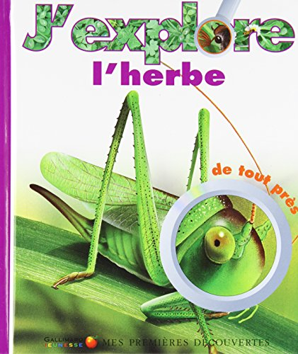 J'explore l'herbe de tout près