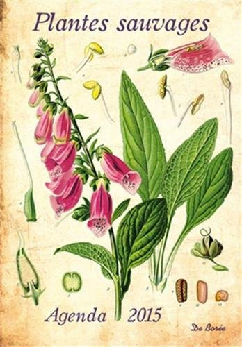 Plantes sauvages & médicinales : agenda 2015