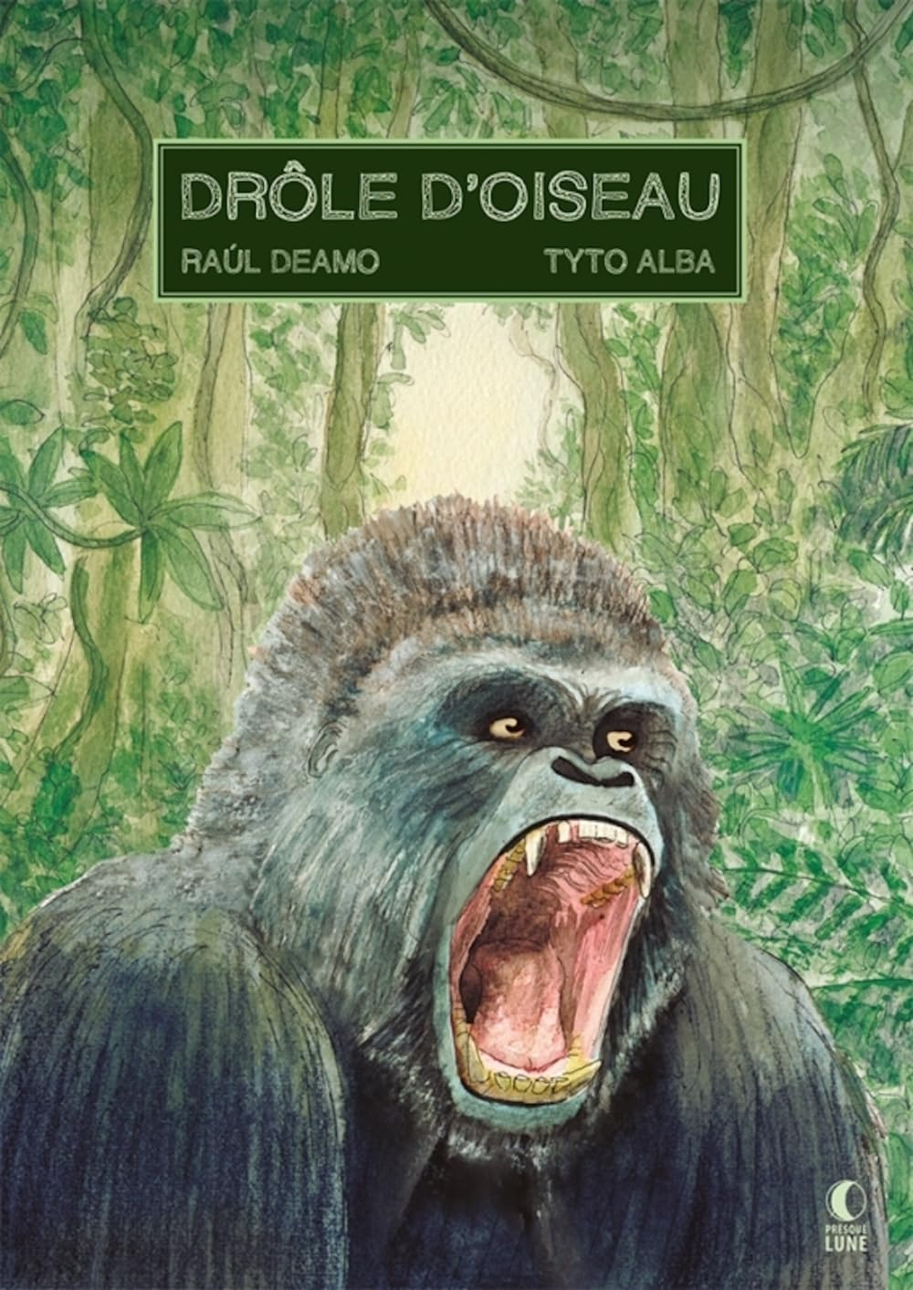 Drôle d'oiseau