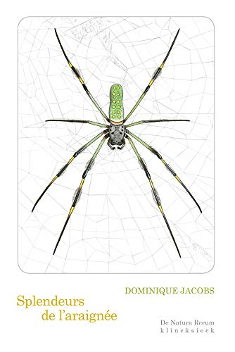 Splendeurs de l'araignée