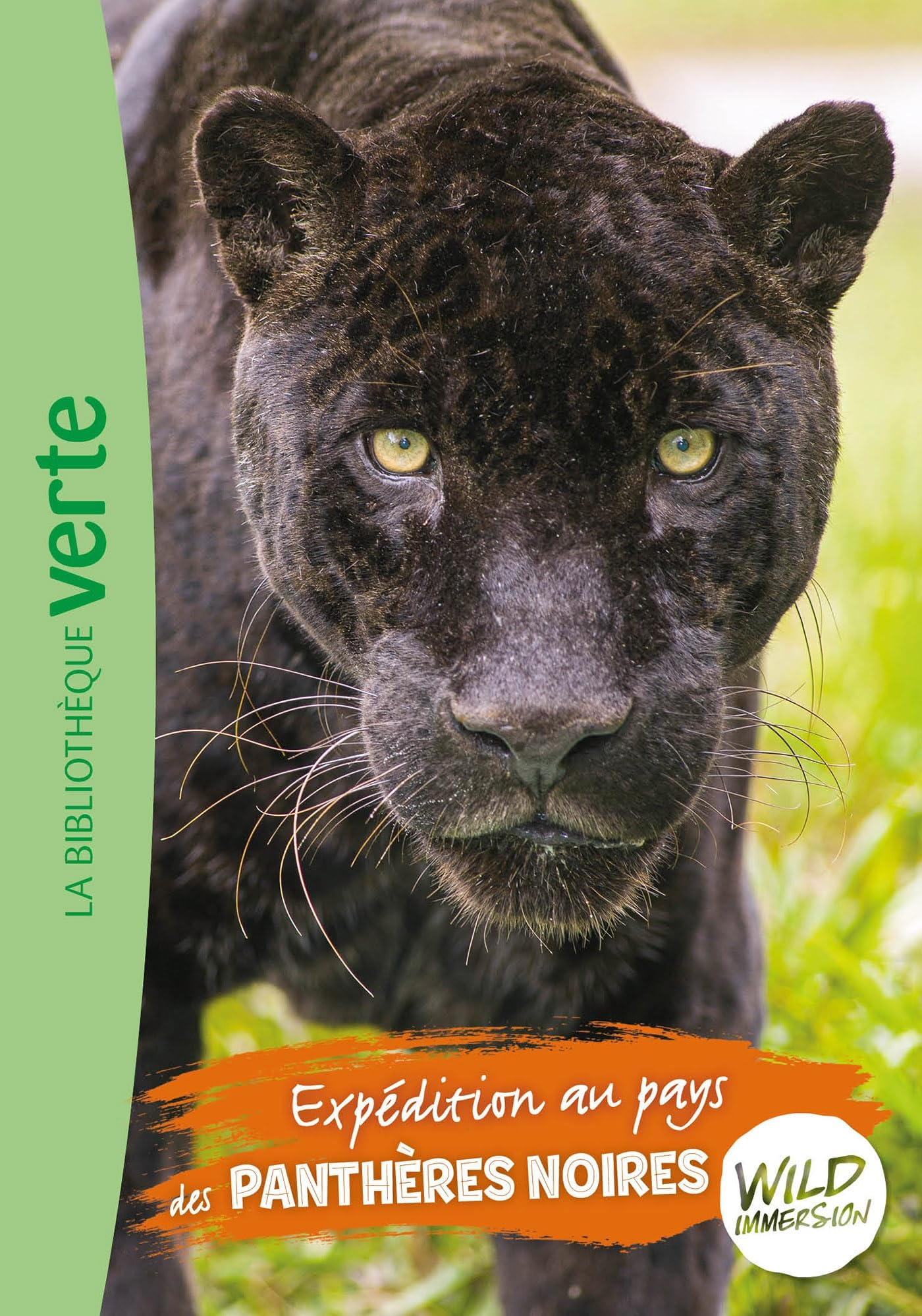 Wild immersion. Vol. 15. Expédition au pays des panthères noires