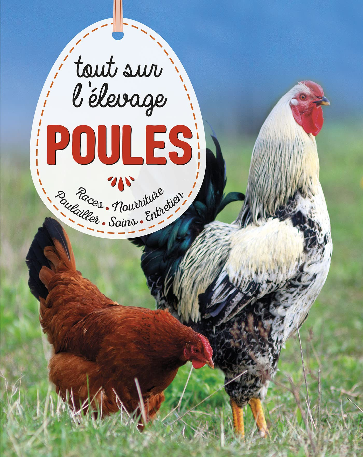 Poules : tout sur l'élevage : races, soins, poulailler, entretien