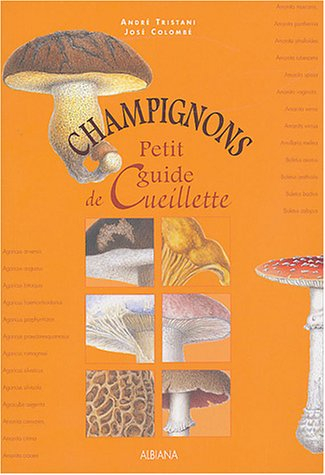 Champignons : petit guide de cueillette