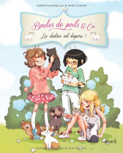 Les chatons ont disparu !