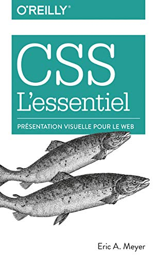 CSS l'essentiel : présentation visuelle pour le web