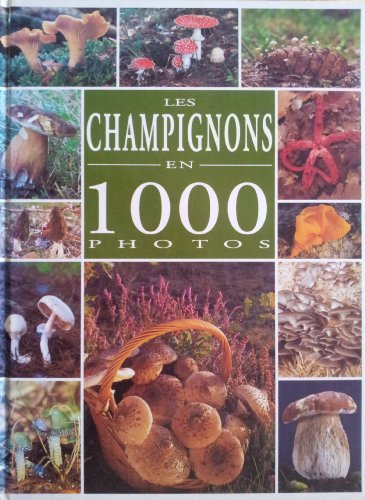 Les champignons en 1000 photos