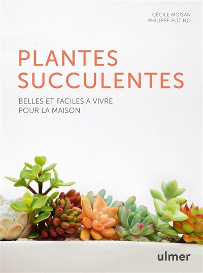 Plantes succulentes : belles et faciles à vivre pour la maison