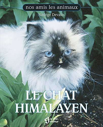 Le chat himalayen