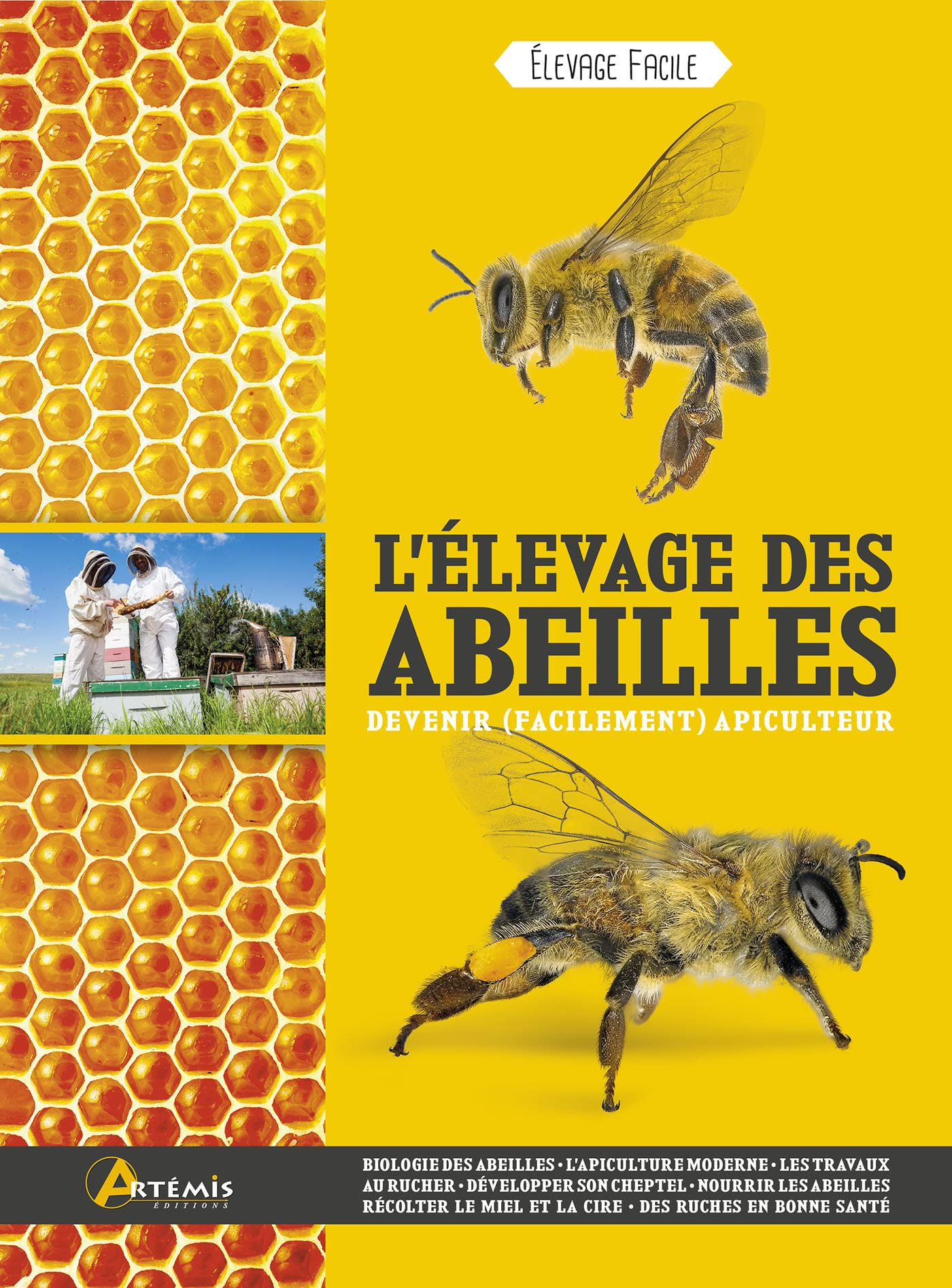 L'élevage des abeilles : devenir (facilement) apiculteur
