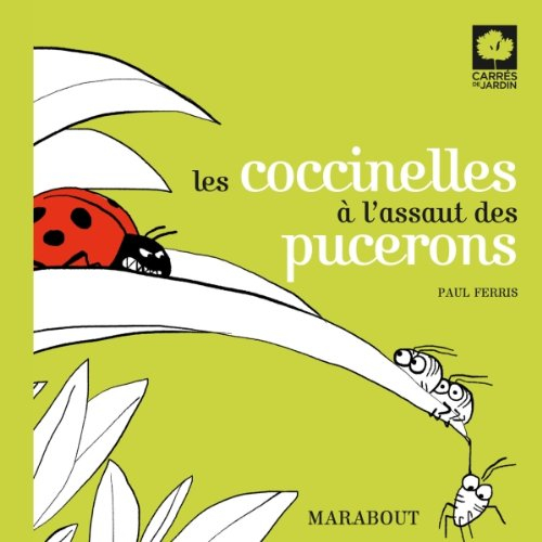 Les coccinelles à l'assaut des pucerons