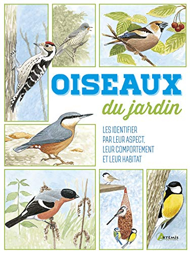 Oiseaux du jardin : les identifier par leur aspect, leur comportement et leur habitat