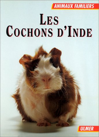 les cochons d'inde