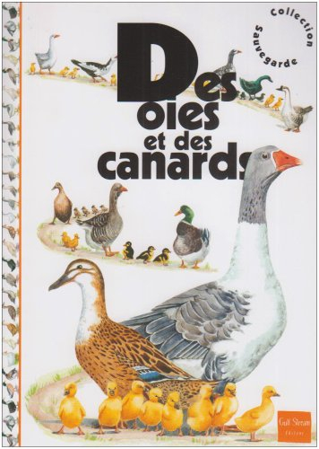 Des oies et des canards