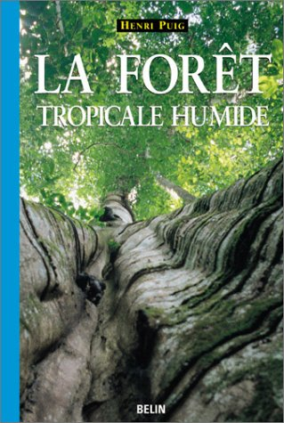 La forêt tropicale humide
