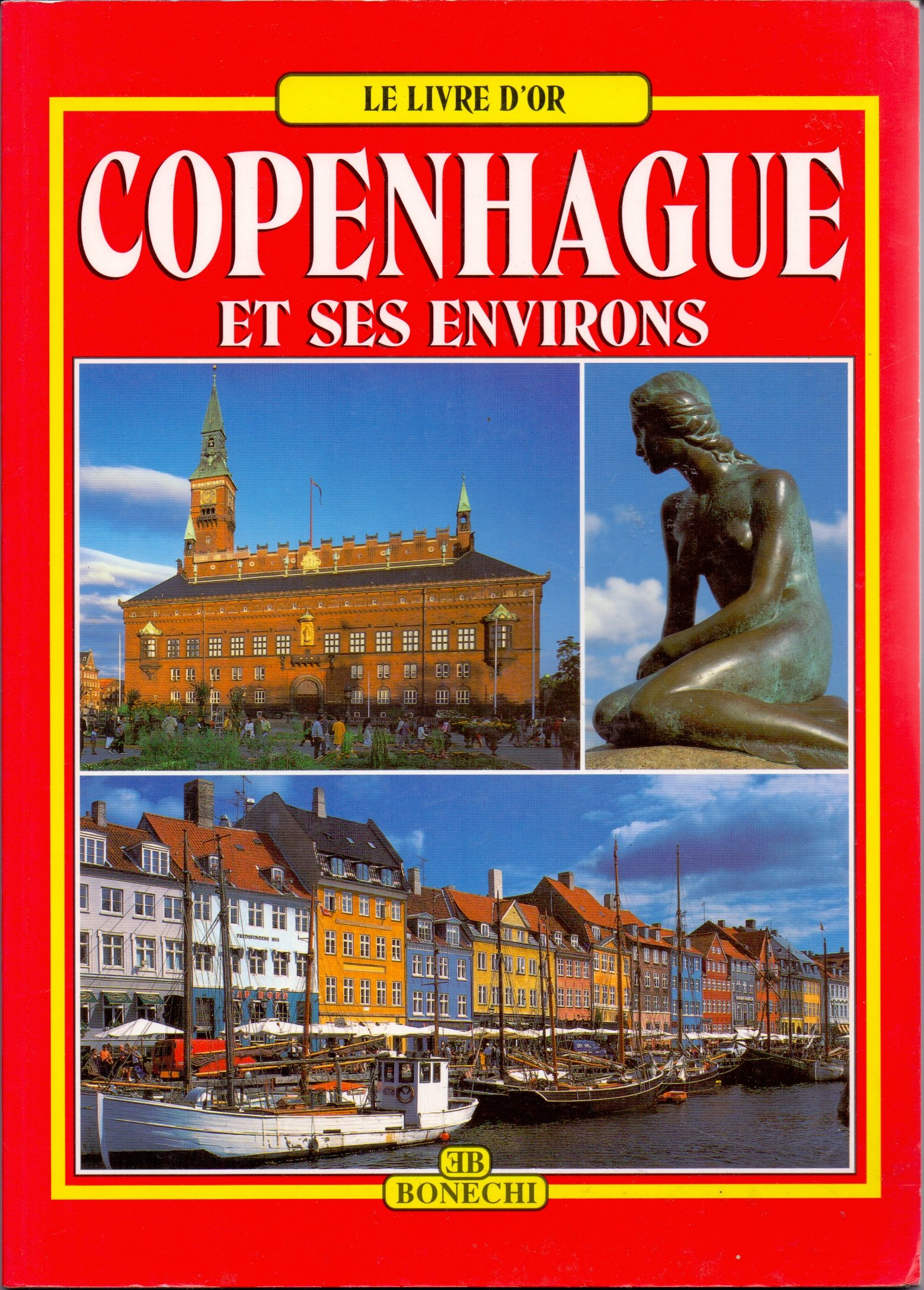 Copenhagen e i suoi dintorni. Ediz. francese