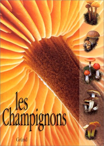 Les champignons