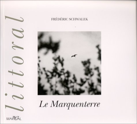 Littoral : le marquenterre