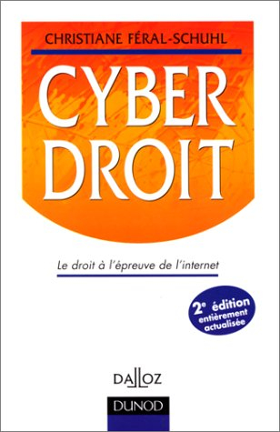 Cyberdroit : le droit à l'épreuve de l'Internet