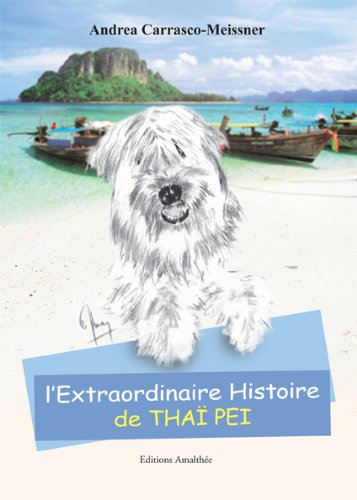 l extraordinaire histoire de thai pei