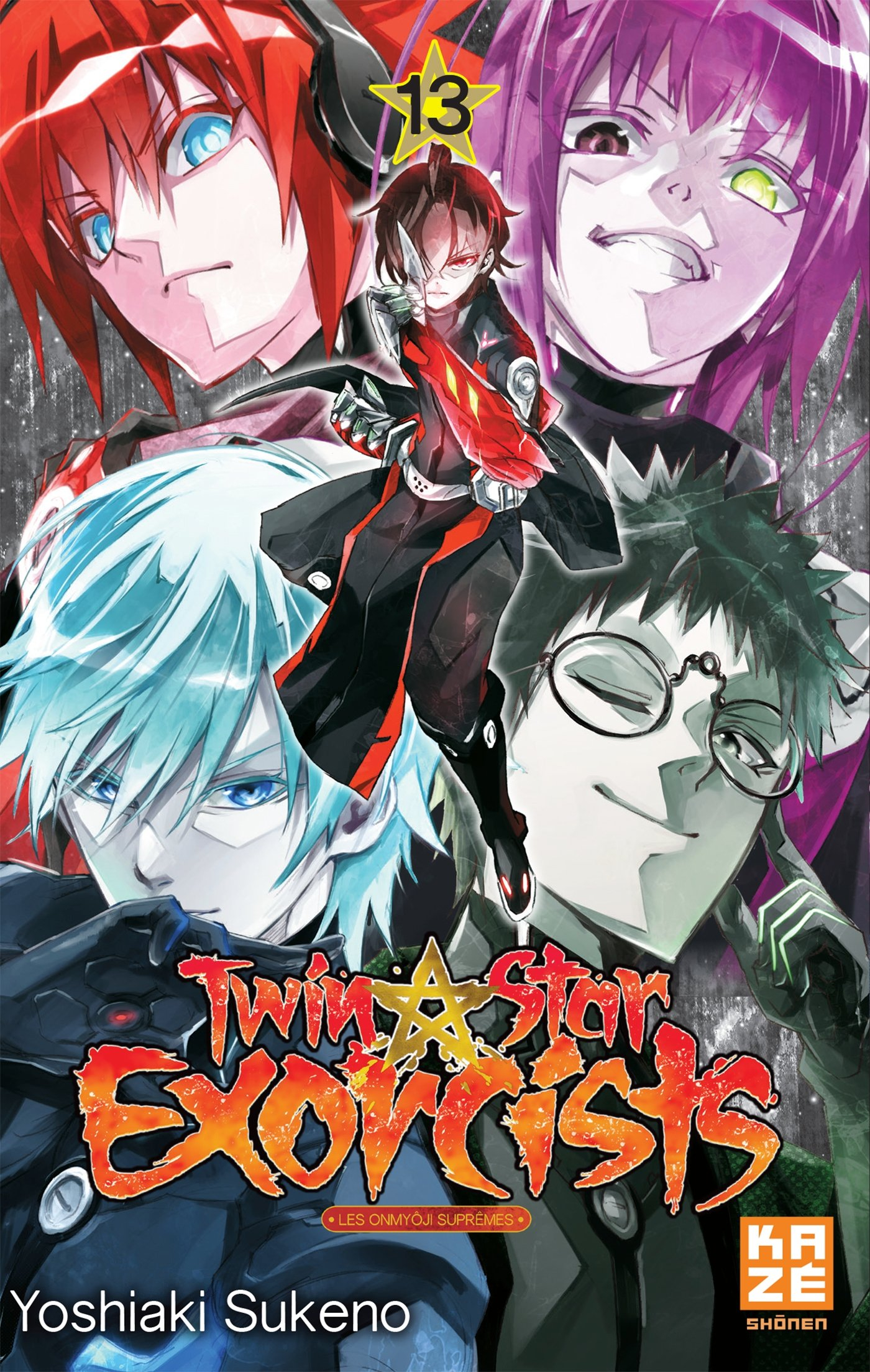 Twin star exorcists. Vol. 13