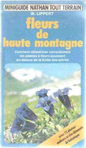 fleurs de haute montagne : comment déterminer correctement les plantes à fleurs poussant au dessus d