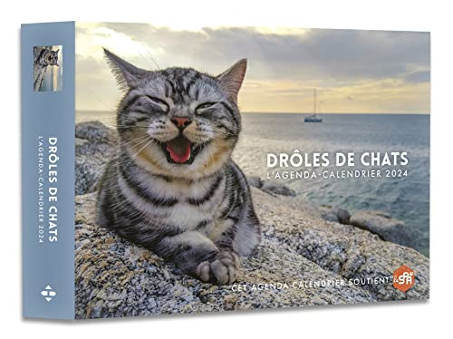 Drôles de chats : l'agenda-calendrier 2024