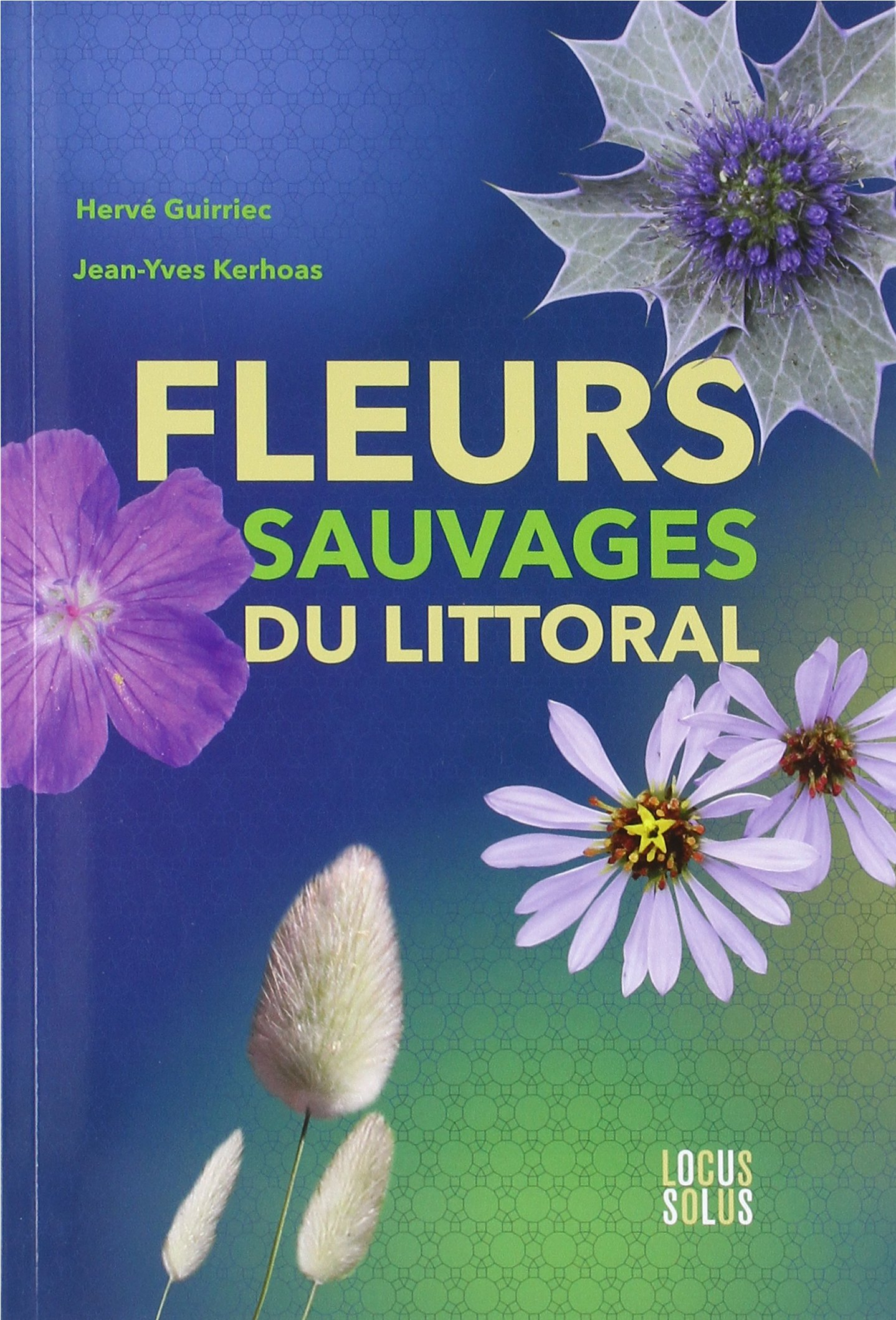 Fleurs sauvages du littoral : botanique, histoire, légendes