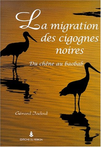 Migration des cigognes noires
