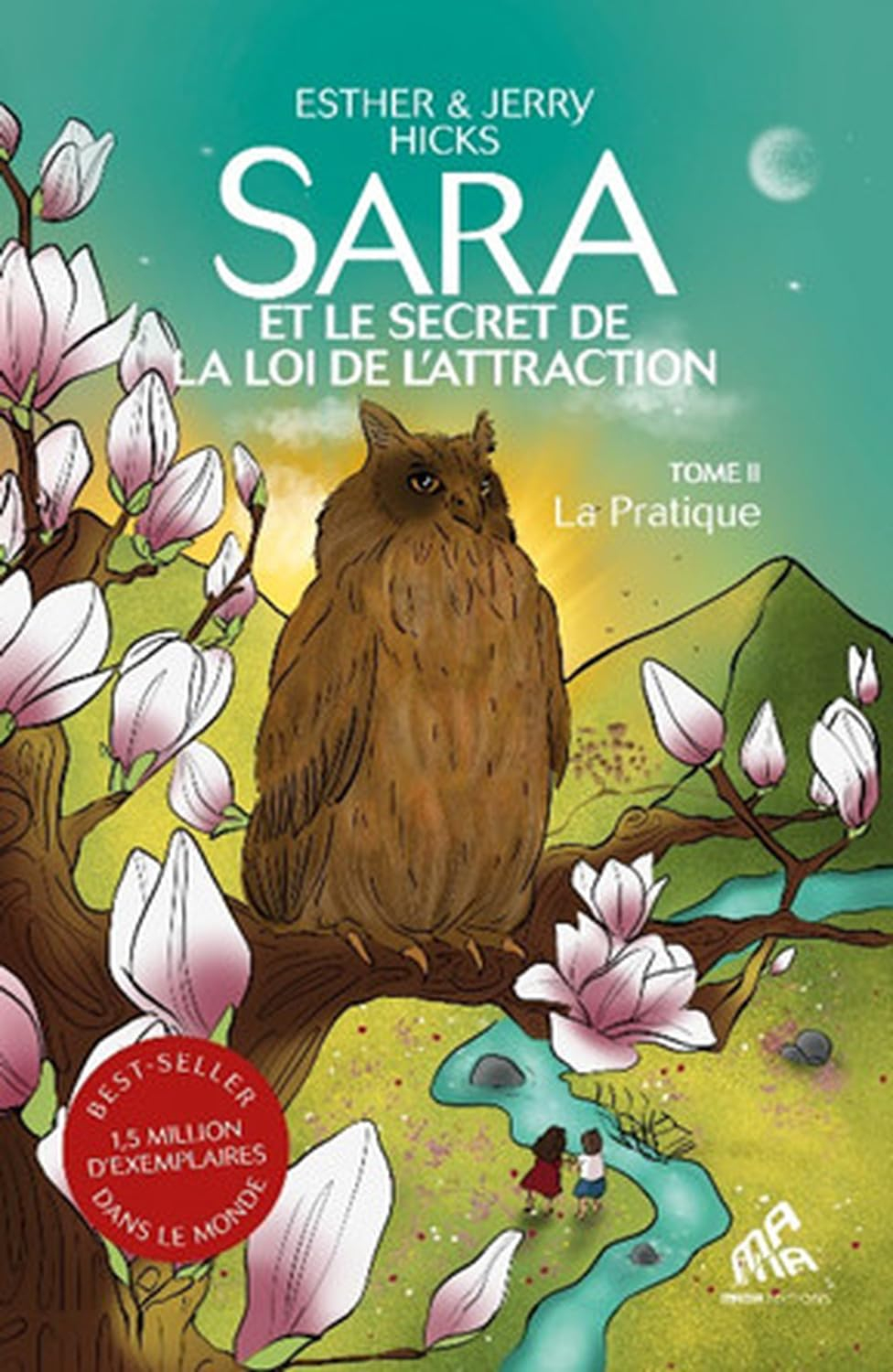 Sara et le secret de la loi de l'attraction. Vol. 2. La pratique