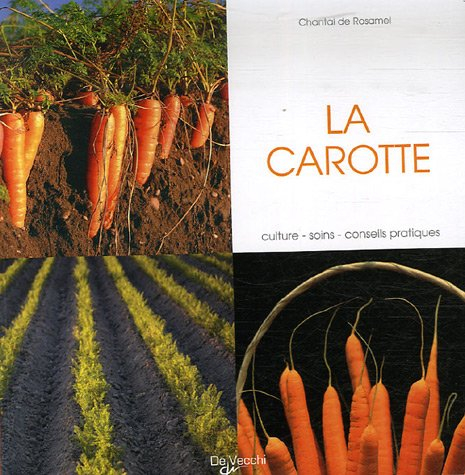 La carotte : culture, soins, conseils pratiques