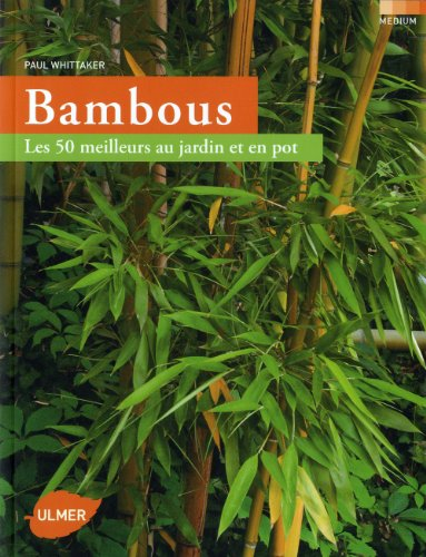 Bambous : les 50 meilleurs au jardin et en pot