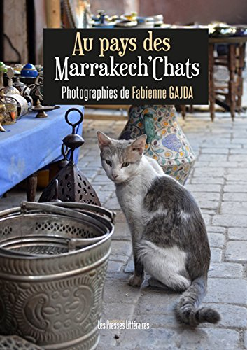 Au pays de Marrakech'chats