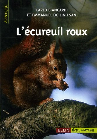 L'écureuil roux