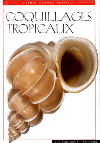 Coquillages tropicaux