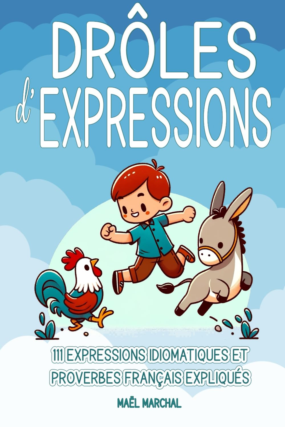 Drôles d'Expressions: 111 Expressions idiomatiques et Proverbes français