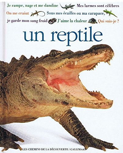 Qui suis-je ? Un reptile