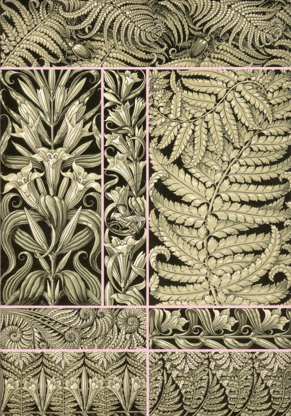 Fantaisies & ornements : planches décoratives d'Anton Seder