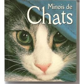minois de chats