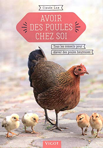 Avoir des poules chez soi : tous les conseils pour élever des poules heureuses