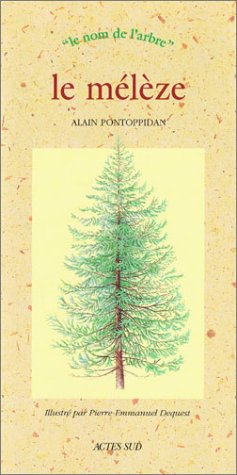 Le mélèze