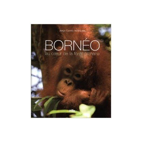Bornéo : au coeur de la forêt primaire
