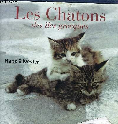 Les chatons des îles grecques