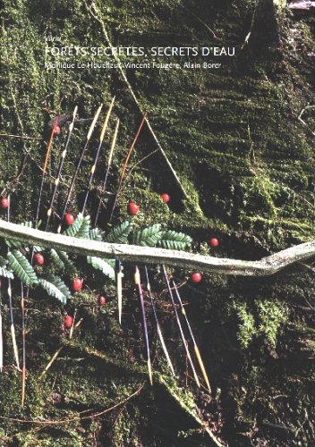 Forêts secrètes, secrets d'eau