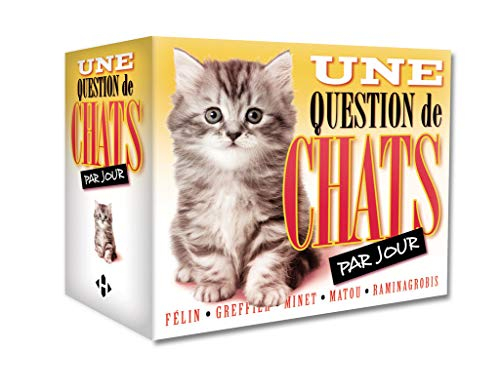 Une question de chat par jour