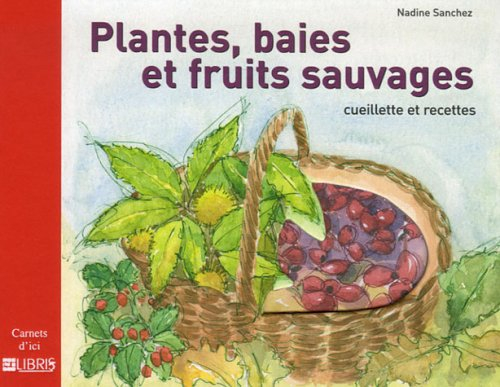 Plantes, baies et fruits sauvages : cueillette et recettes