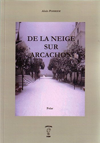 de la neige sur arcachon