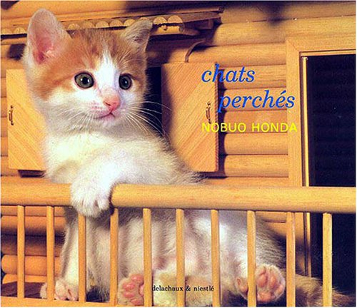 Chats perchés
