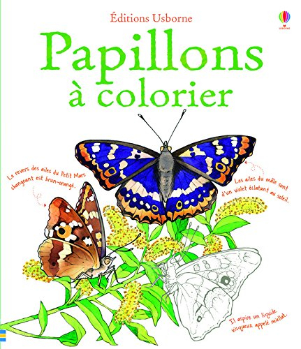 Papillons à colorier